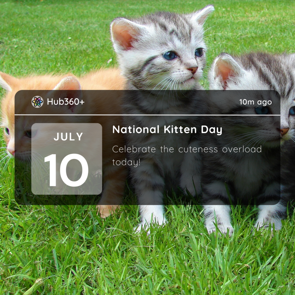 July 10th National Kitten Day Hub360+